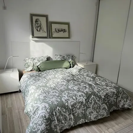 Large Near Center With Full Kitchen & Dining Room, King Beds, Garden Patio, Free Parking & Self Check-in Value! Apartament